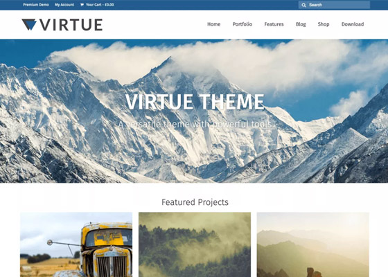 Virtue Portfolio WordPress Theme