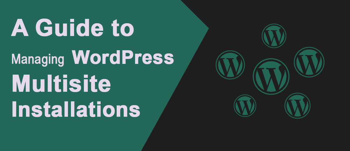 Guide to Managing WordPress Multisite Installations